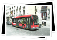 urban bus