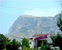denia