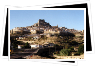 Morella