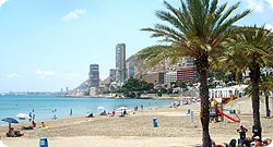 Out & About Alicante