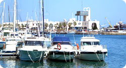 Trips from Alicante